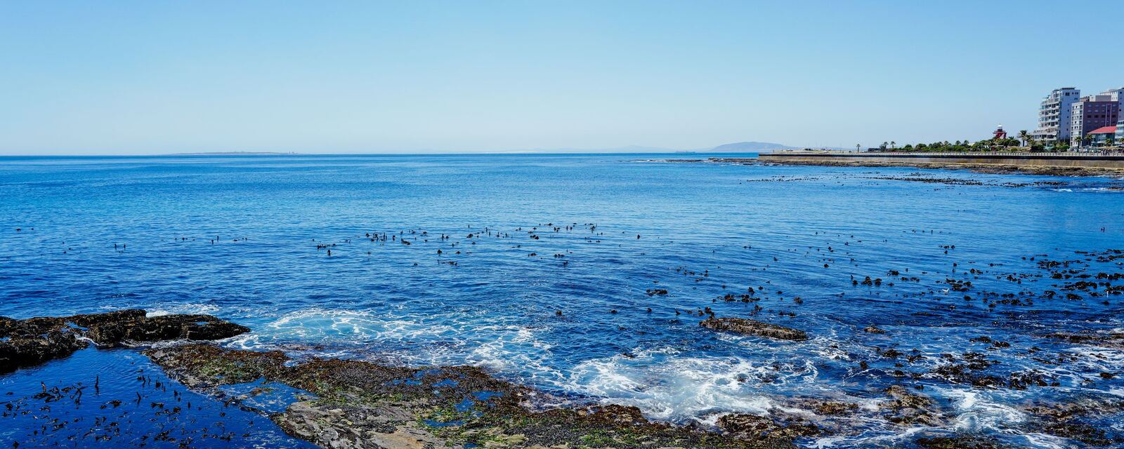 The Summerstrand shoreline, Gqeberha